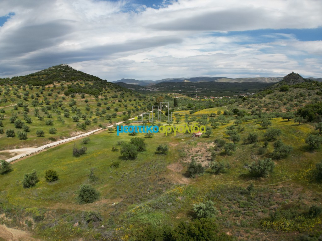 Αγροτεμάχια 3.930 τ.μ. προς πώληση, Νέα Τίρυνθα
