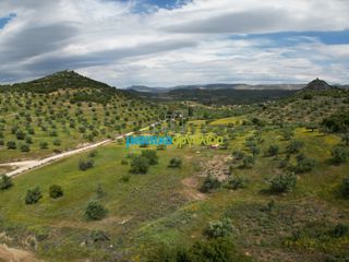 Αγροτεμάχια 3.930 τ.μ. για πώληση, Αργολίδα, Νέα Τίρυνθα-thumb-2