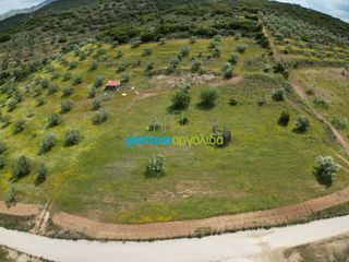 Αγροτεμάχια 3.930 τ.μ. για πώληση, Αργολίδα, Νέα Τίρυνθα-thumb-14