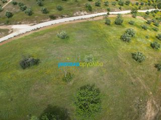Αγροτεμάχια 3.930 τ.μ. για πώληση, Αργολίδα, Νέα Τίρυνθα-thumb-9