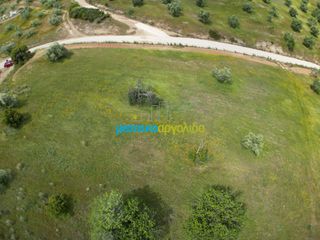 Αγροτεμάχια 3.930 τ.μ. για πώληση, Αργολίδα, Νέα Τίρυνθα-thumb-10