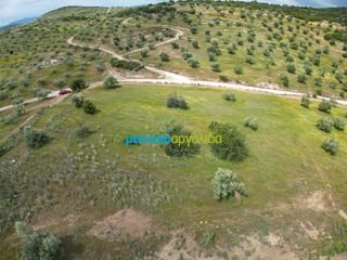 Αγροτεμάχια 3.930 τ.μ. για πώληση, Αργολίδα, Νέα Τίρυνθα-thumb-11