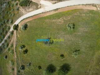 Αγροτεμάχια 3.930 τ.μ. για πώληση, Αργολίδα, Νέα Τίρυνθα-thumb-12