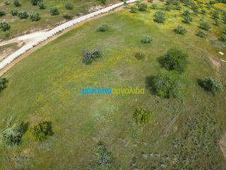 Αγροτεμάχια 3.930 τ.μ. για πώληση, Αργολίδα, Νέα Τίρυνθα-thumb-8
