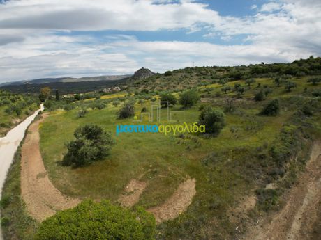 Αγροτεμάχια 3.930τ.μ. για πώληση-Νέα τίρυνθα