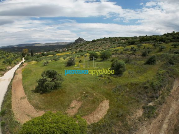 Αγροτεμάχια 3.930 τ.μ. για πώληση, Αργολίδα, Νέα Τίρυνθα