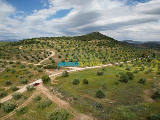Αγροτεμάχια 3.930 τ.μ. για πώληση, Αργολίδα, Νέα Τίρυνθα-thumb-3