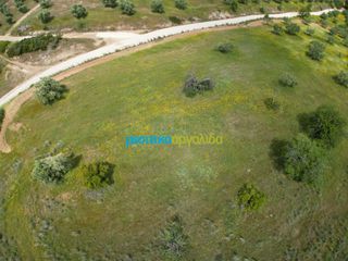 Αγροτεμάχια 3.930 τ.μ. για πώληση, Αργολίδα, Νέα Τίρυνθα-thumb-7