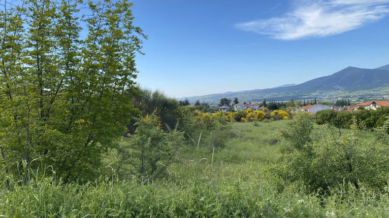 Parcel 3.500 sqm for sale, Thessaloniki - Suburbs, Thermi