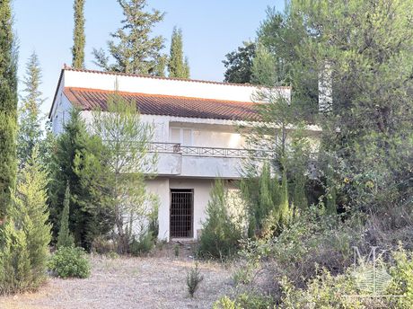 Μεζονέτα 215 τ.μ. προς πώληση