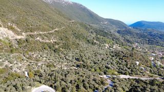 Αγροτεμάχια 1.865 τ.μ. προς πώληση, Ελλόμενο-thumb-5