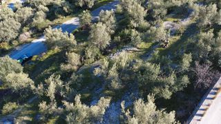 Αγροτεμάχια 1.865 τ.μ. προς πώληση, Ελλόμενο-thumb-12