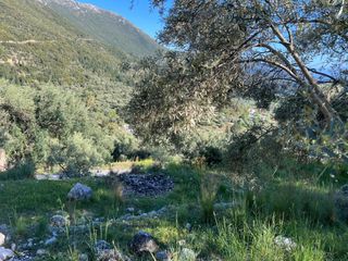 Αγροτεμάχια 1.865 τ.μ. προς πώληση, Ελλόμενο-thumb-6