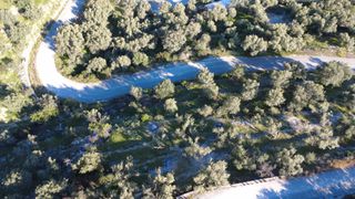 Αγροτεμάχια 1.865 τ.μ. προς πώληση, Ελλόμενο-thumb-1