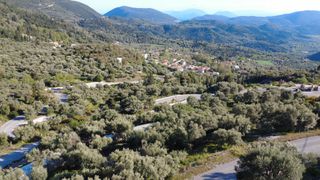 Αγροτεμάχια 1.865 τ.μ. προς πώληση, Ελλόμενο-thumb-14