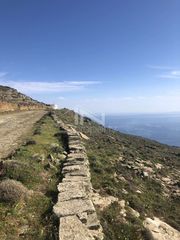 Αγροτεμάχια 11.300 τ.μ. προς πώληση, Τήνος-thumb-9