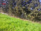 Parcel 4.166sqm for sale-Chortiatis