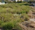 Land plot 1.215sqm for sale-Xilokastro » Kamari