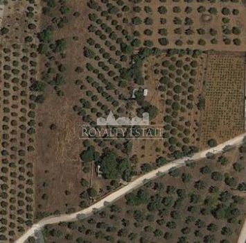 Οικόπεδο 8.000τ.μ. για πώληση-Σούνιο