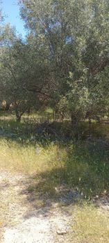 Οικόπεδο 397,85 τ.μ. για πώληση