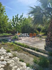 Αίθουσα 4.000 τ.μ. για ενοικίαση, Αχαΐα, Ρίο-thumb-20