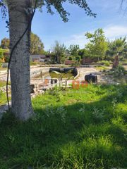 Αίθουσα 4.000 τ.μ. για ενοικίαση, Αχαΐα, Ρίο-thumb-15