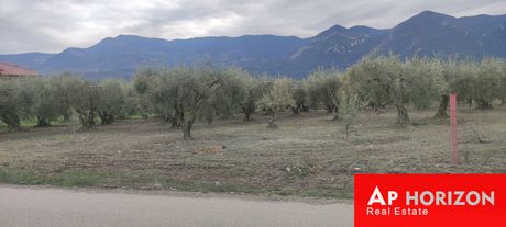 Οικόπεδο 4.000τ.μ. για πώληση-Γοργοπόταμος