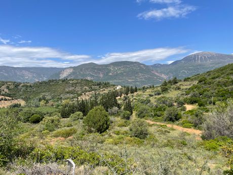 Land plot 17.000sqm for sale-Tolofona » Trizonia