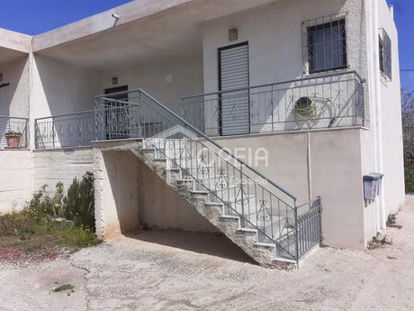 Διαμέρισμα 55τ.μ. για ενοικίαση-Κορωπί » Αγία μαρίνα