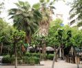 Studio / γκαρσονιέρα 30τ.μ. για πώληση-Παγκράτι » Άλσος παγκρατίου
