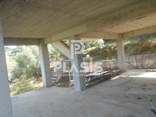 Διαμέρισμα 400 τ.μ. για πώληση, Φθιώτιδας, Μώλος-thumb-1