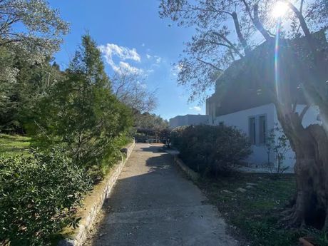 Detached home 380sqm for sale-Lesvos - Mitilini