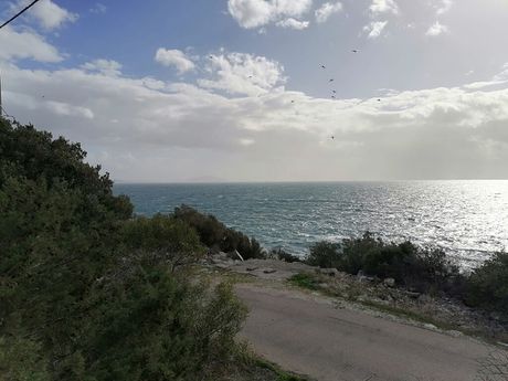 Οικόπεδο 1.187 τ.μ. για πώληση