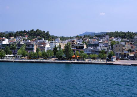 Οικόπεδο 92.503 τ.μ. για πώληση