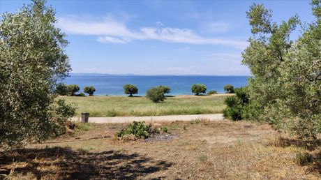 Οικόπεδο 13.750 τ.μ. για πώληση
