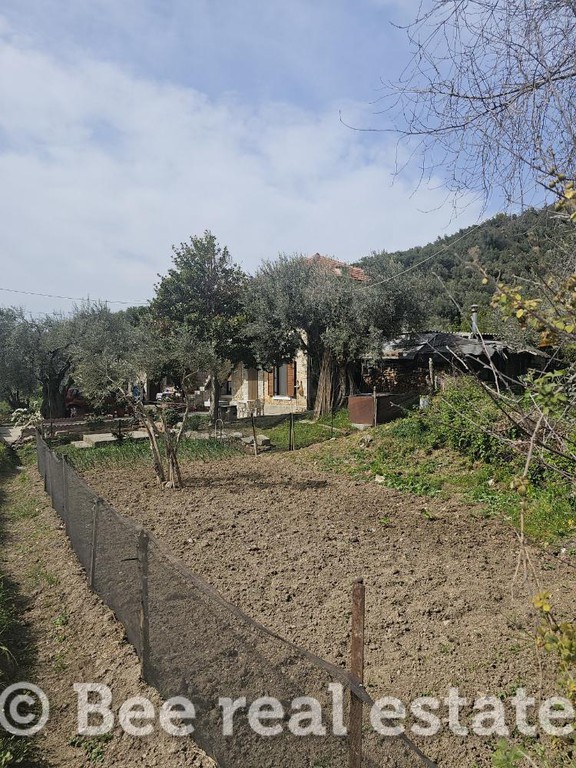 Μονοκατοικία 180 τ.μ. πρός πώληση, Μαγνησία, Μηλιές