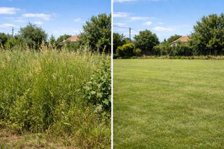 Καθαρισμοί οικοπέδων