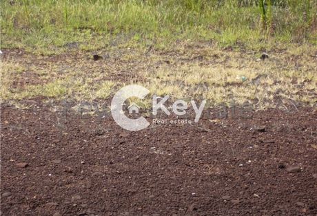Αγροτεμάχια 336τ.μ. για πώληση-Βριλήσσια » Πάτημα βριλησσίων