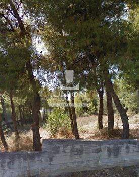 Land plot 758sqm for sale-Nea Penteli