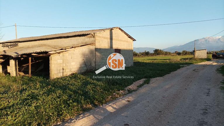 Οικόπεδο 6.000 τ.μ. για πώληση, Αχαΐα, Ωλένια