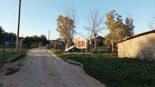 Οικόπεδο 6.000 τ.μ. πρός πώληση, Αχαΐα, Ωλένια-thumb-1
