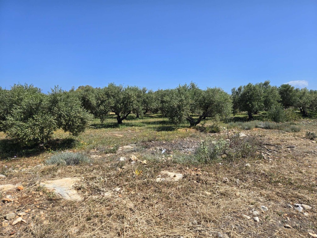 Οικόπεδο 13.619 τ.μ. πρός πώληση, Ν. Ρεθύμνου, Γεροπόταμος