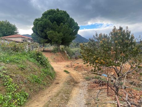Parcel 25.000sqm for sale-Egialia » Mertidi