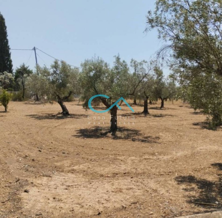 Οικόπεδο 900 τ.μ. προς πώληση, Άγιος Χαράλαμπος Λουτρακίου-Περαχώρας