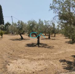 Οικόπεδο 900 τ.μ. για πώληση
