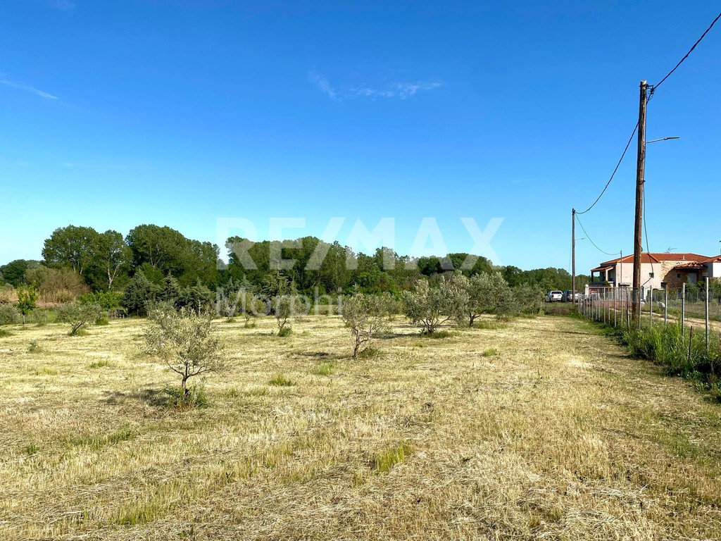 Αγροτεμάχια 4.423,35 τ.μ. πρός πώληση, Ν. Ροδόπης, Κομοτηνή