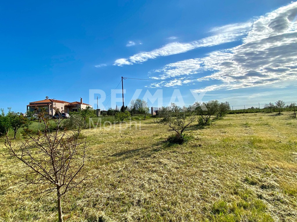 Αγροτεμάχια 4.423,35 τ.μ. πρός πώληση, Ν. Ροδόπης, Κομοτηνή