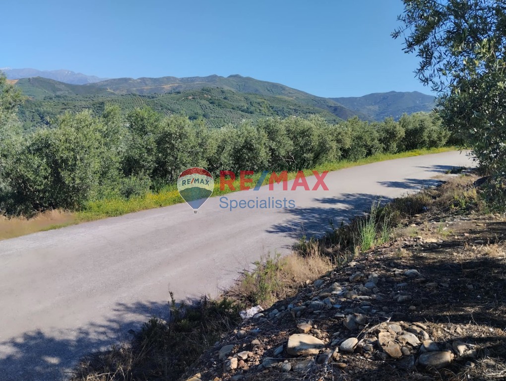 Οικόπεδο 1.570 τ.μ. προς πώληση, Μέσα Βουκολιές