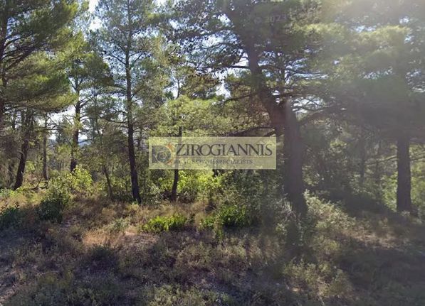Land plot 2.000 sqm for sale, Rest Of Attica, Afidnes