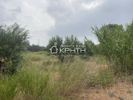 Οικόπεδο 2.358τ.μ. για πώληση-Ιεράπετρα » Κάτω χωριό